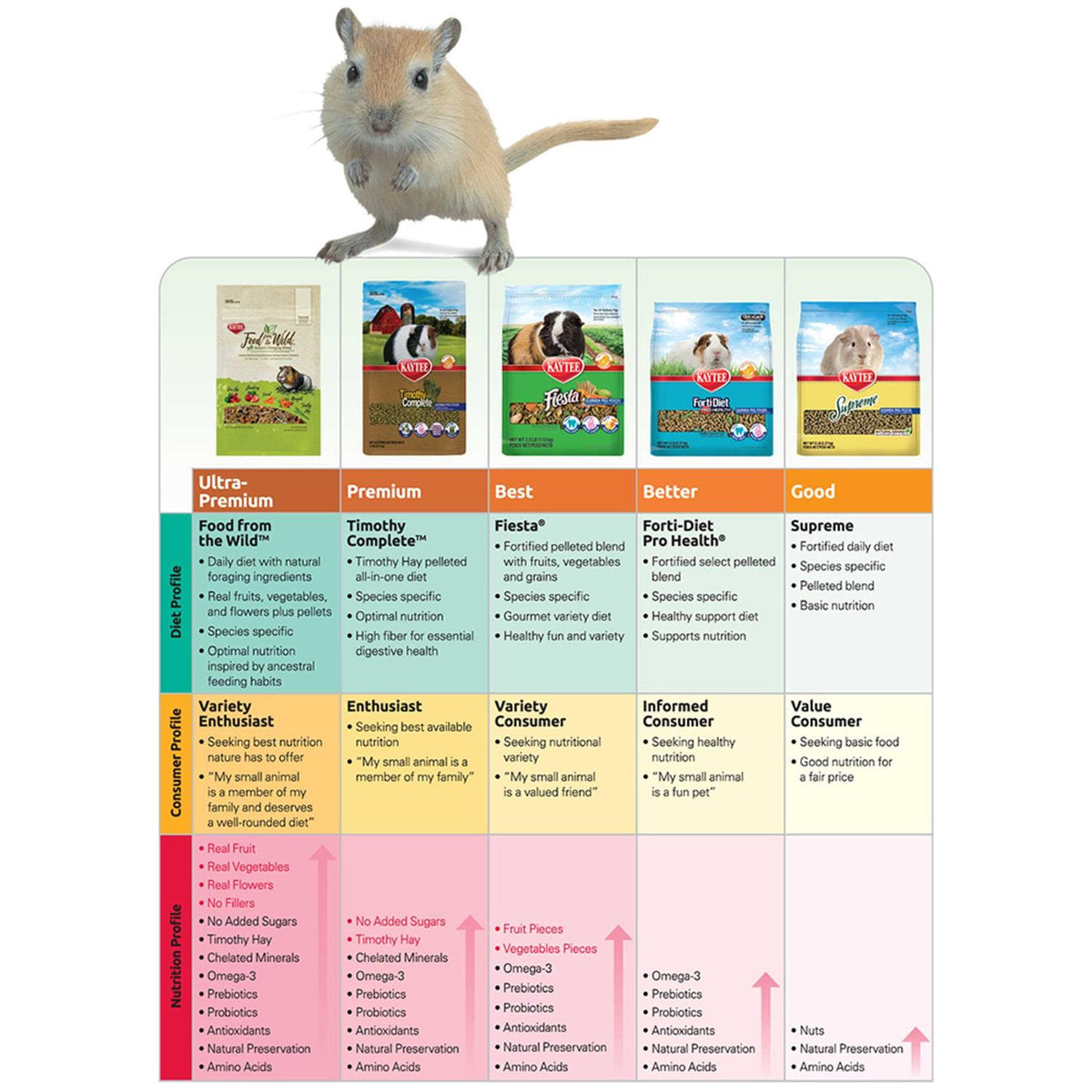 Chinchilla Food B809