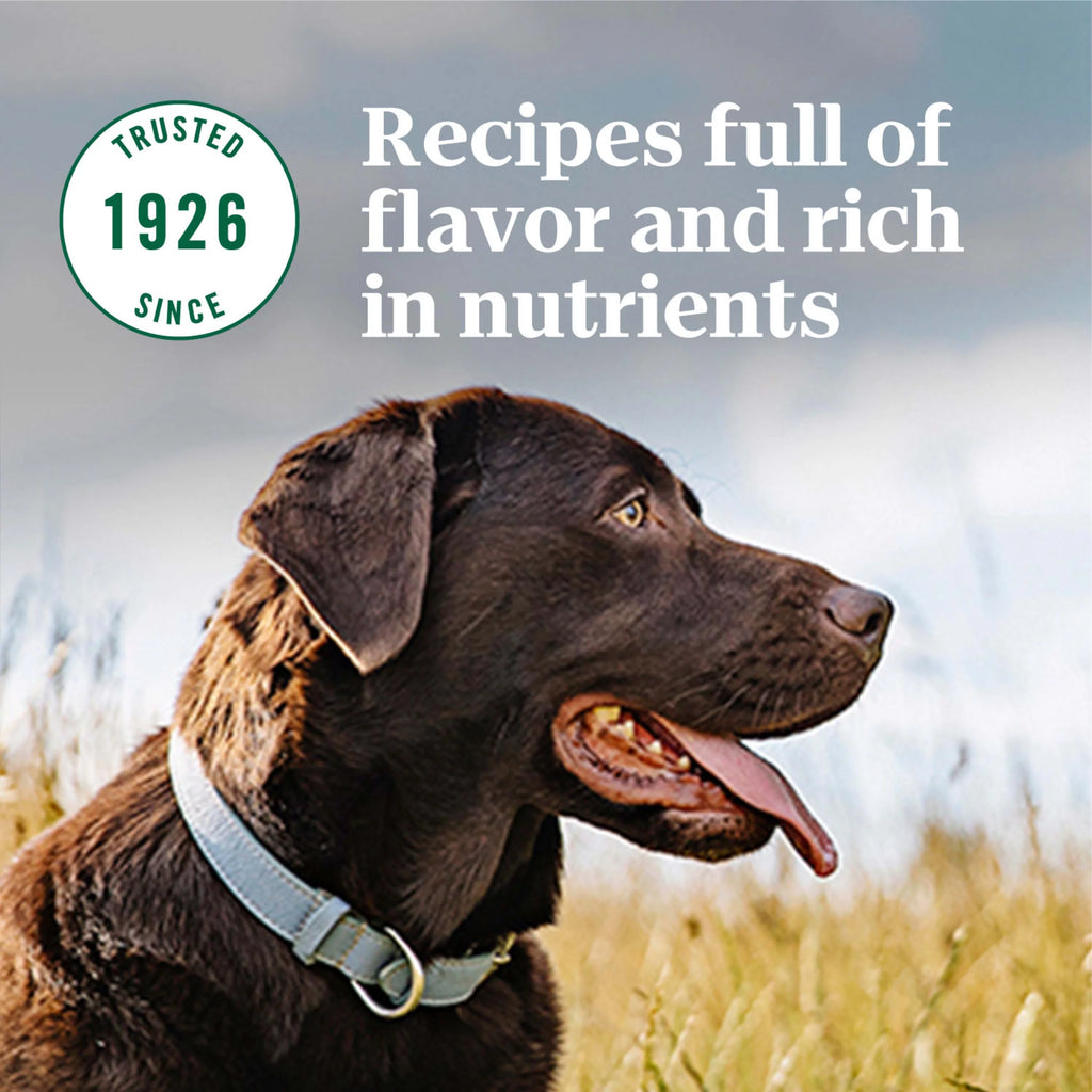 Lamb & Brown Rice Recipe Large Breed Adult Dry Dog Food 20 lb. Bag I81631