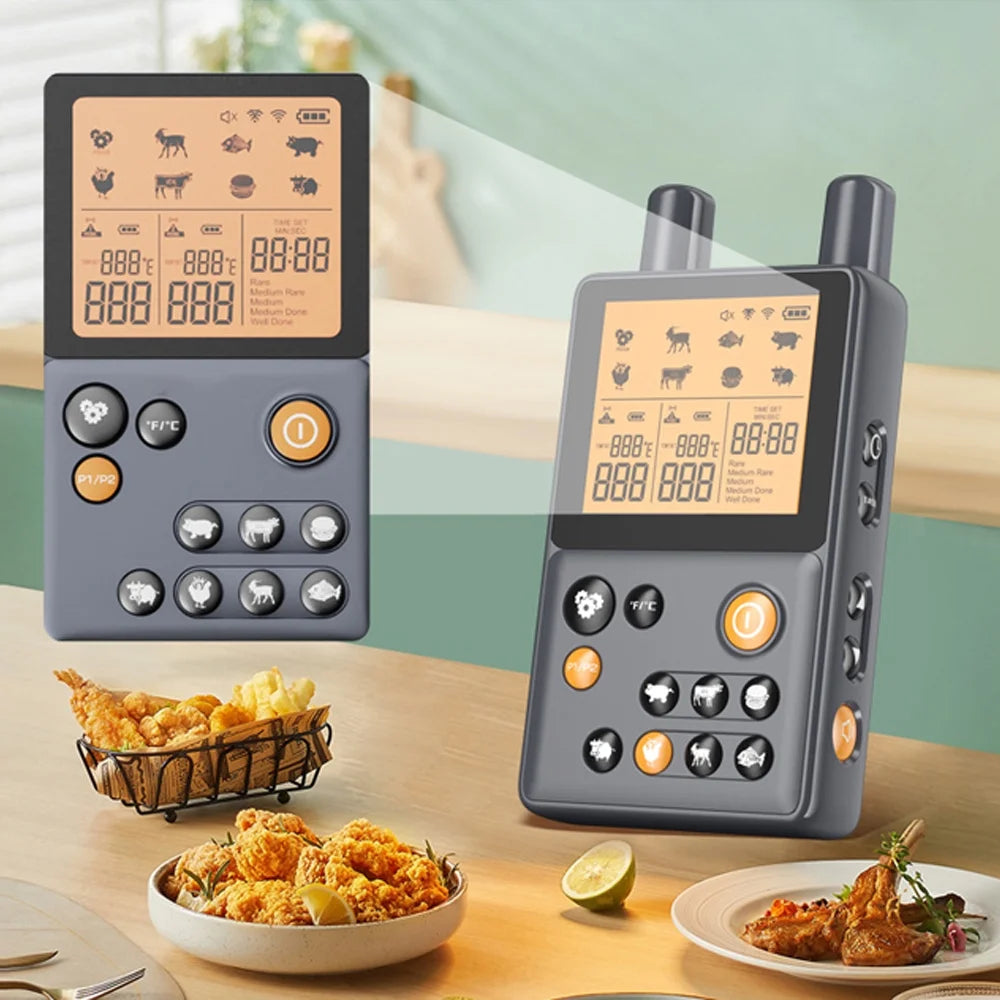 Instant Oven Meat Thermometer with Two Probes U9045