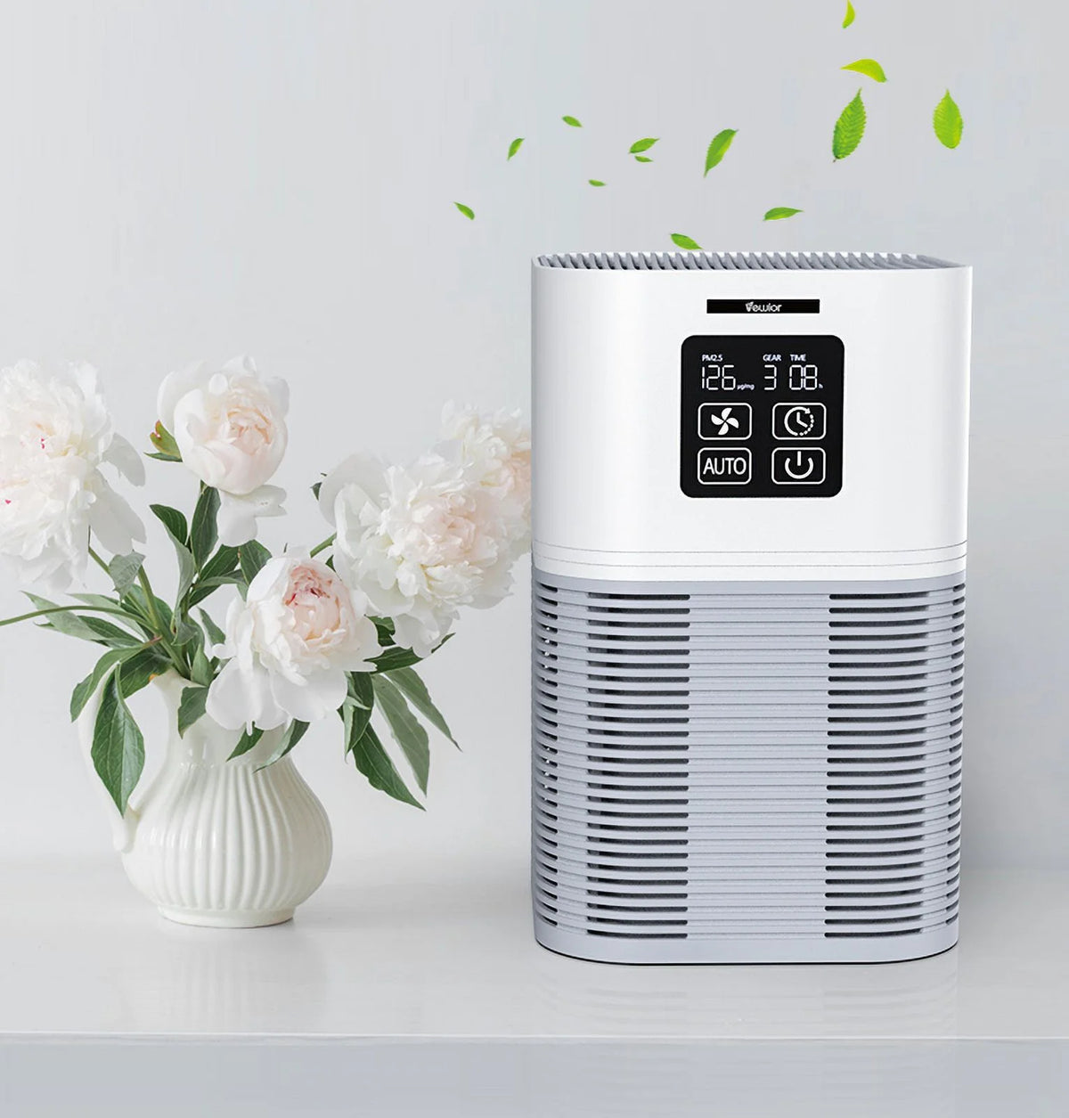H13 True HEPA Air Purifier R925