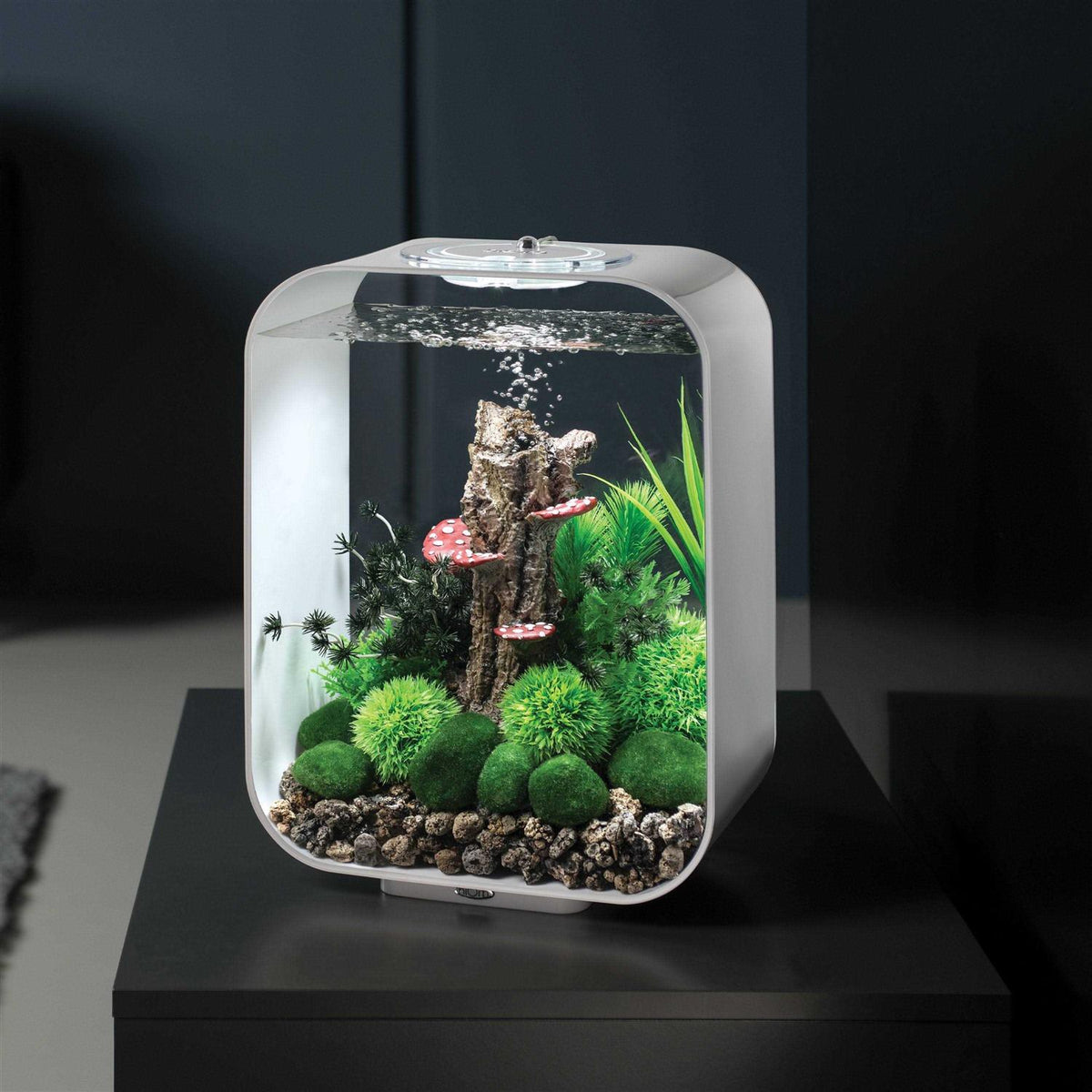15 Aquarium with MCR Light V65022