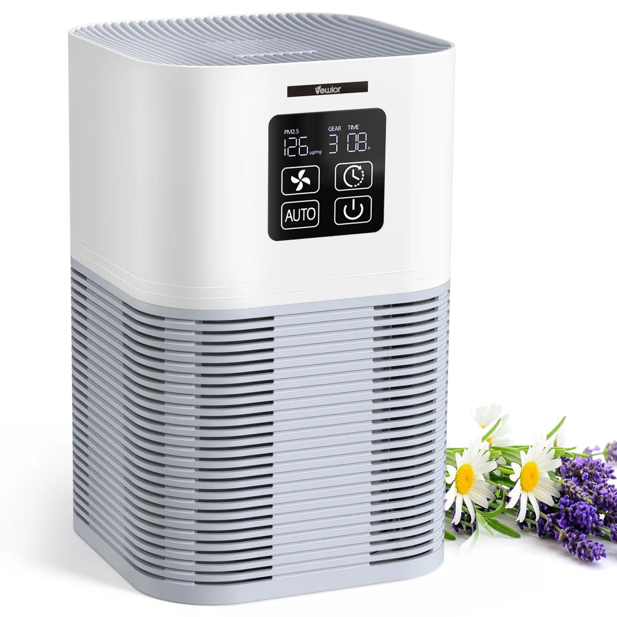 H13 True HEPA Air Purifier R925