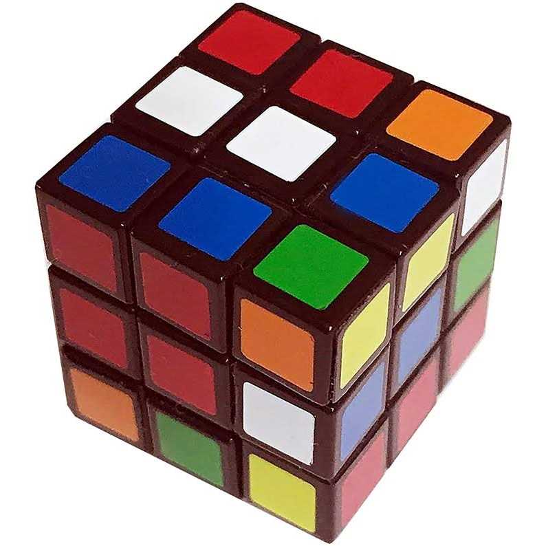 Pet Rock V75310