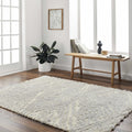 Gray Brown Plush Pile Area Rug 5'3" x 7' X12693