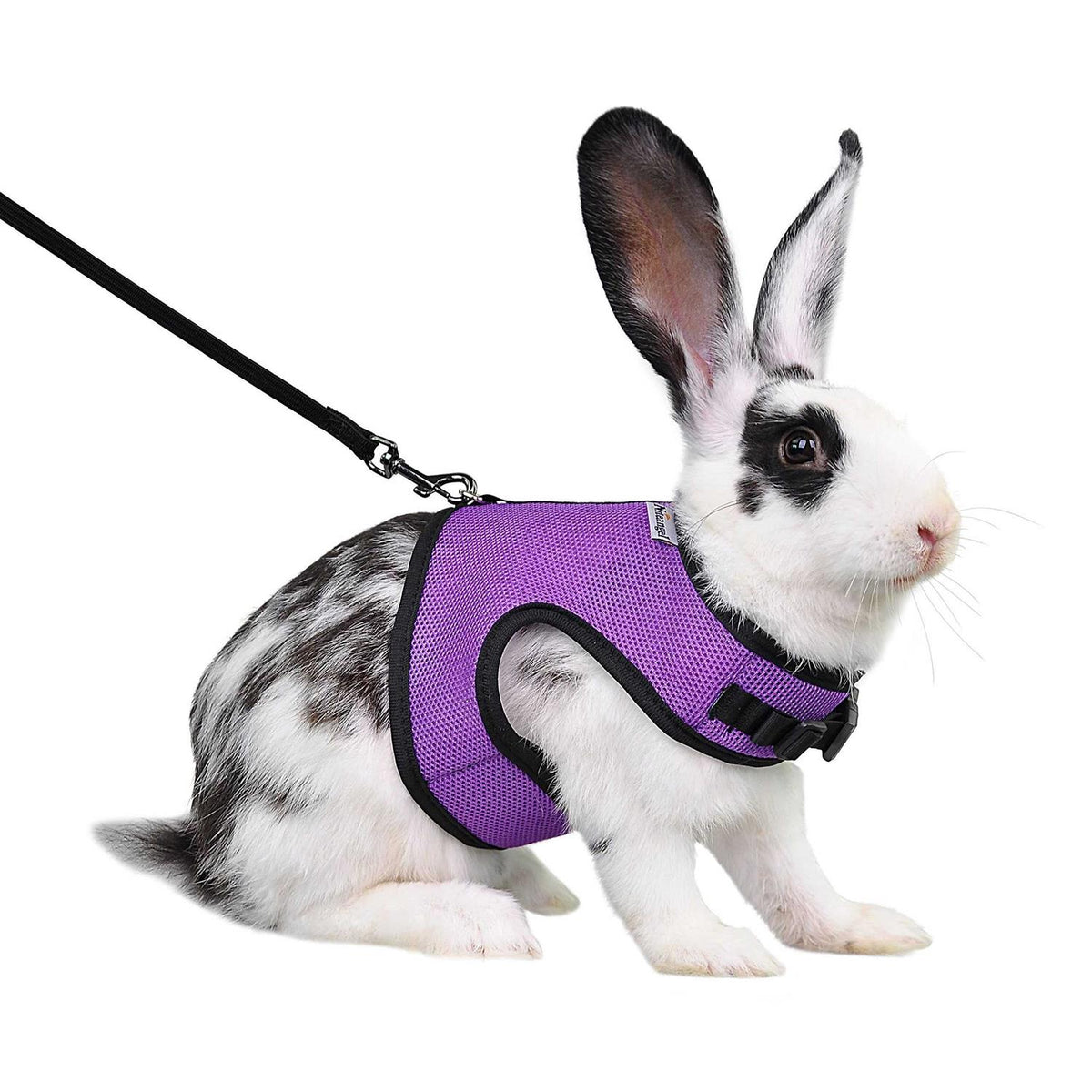 Adjustable Soft Harness with Elastic Leash for Rabbits E548