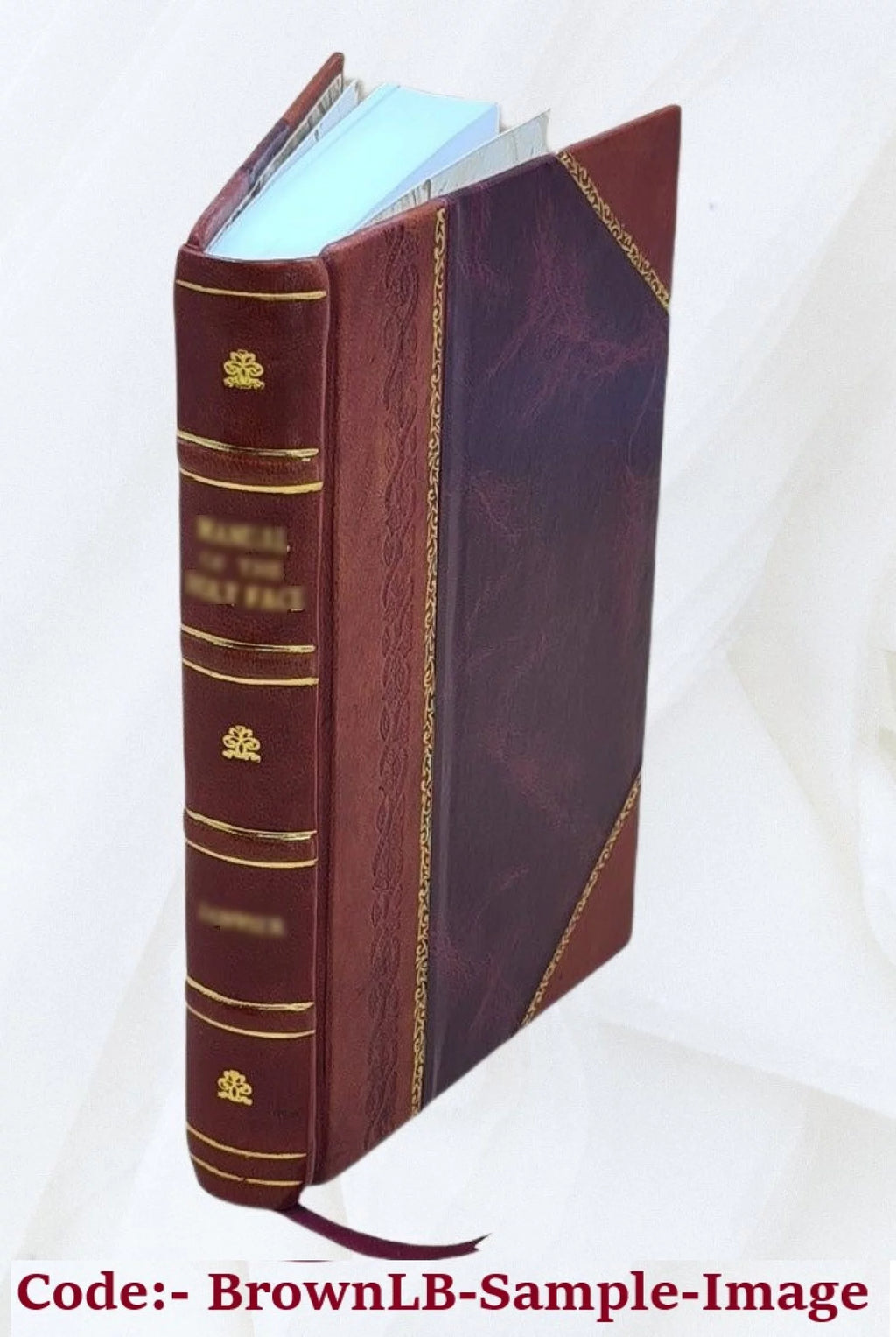 Mélanges historiques, satiriques et anecdotiques I420350