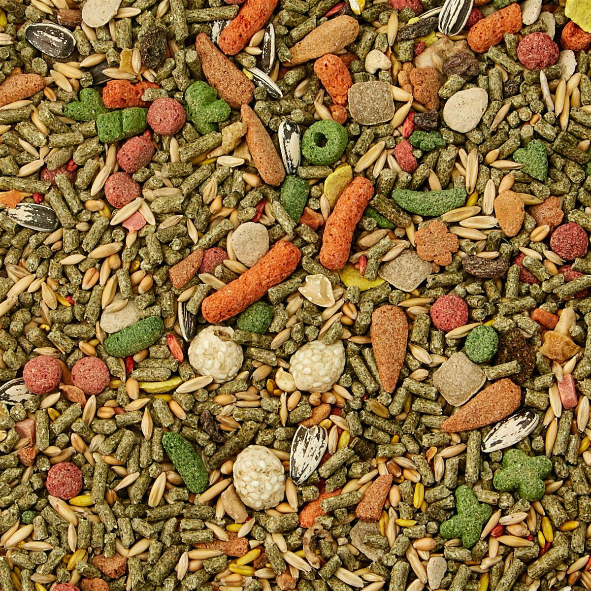 Chinchilla Food B809