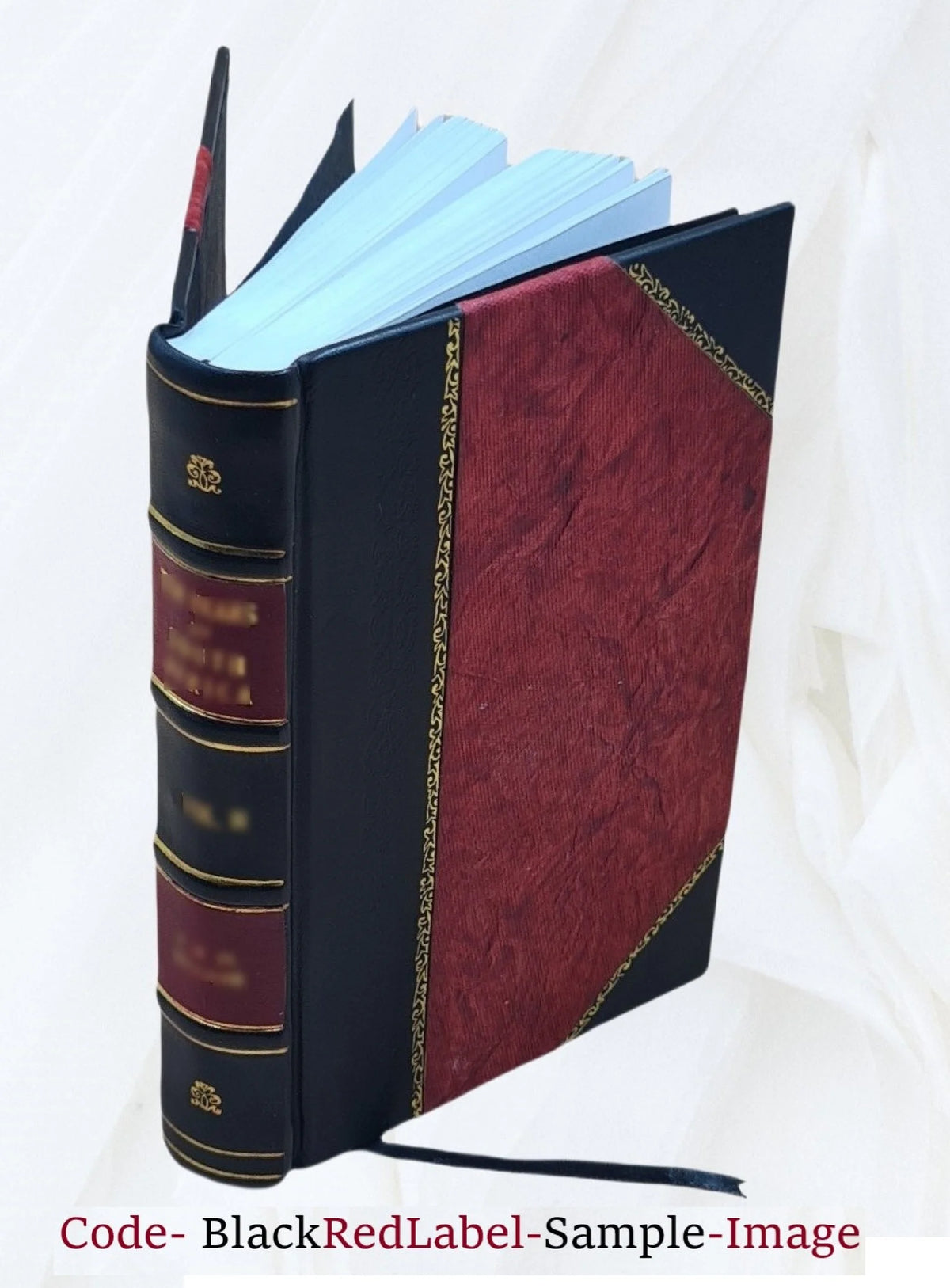 Leather Bound Tale of Real Life I6702