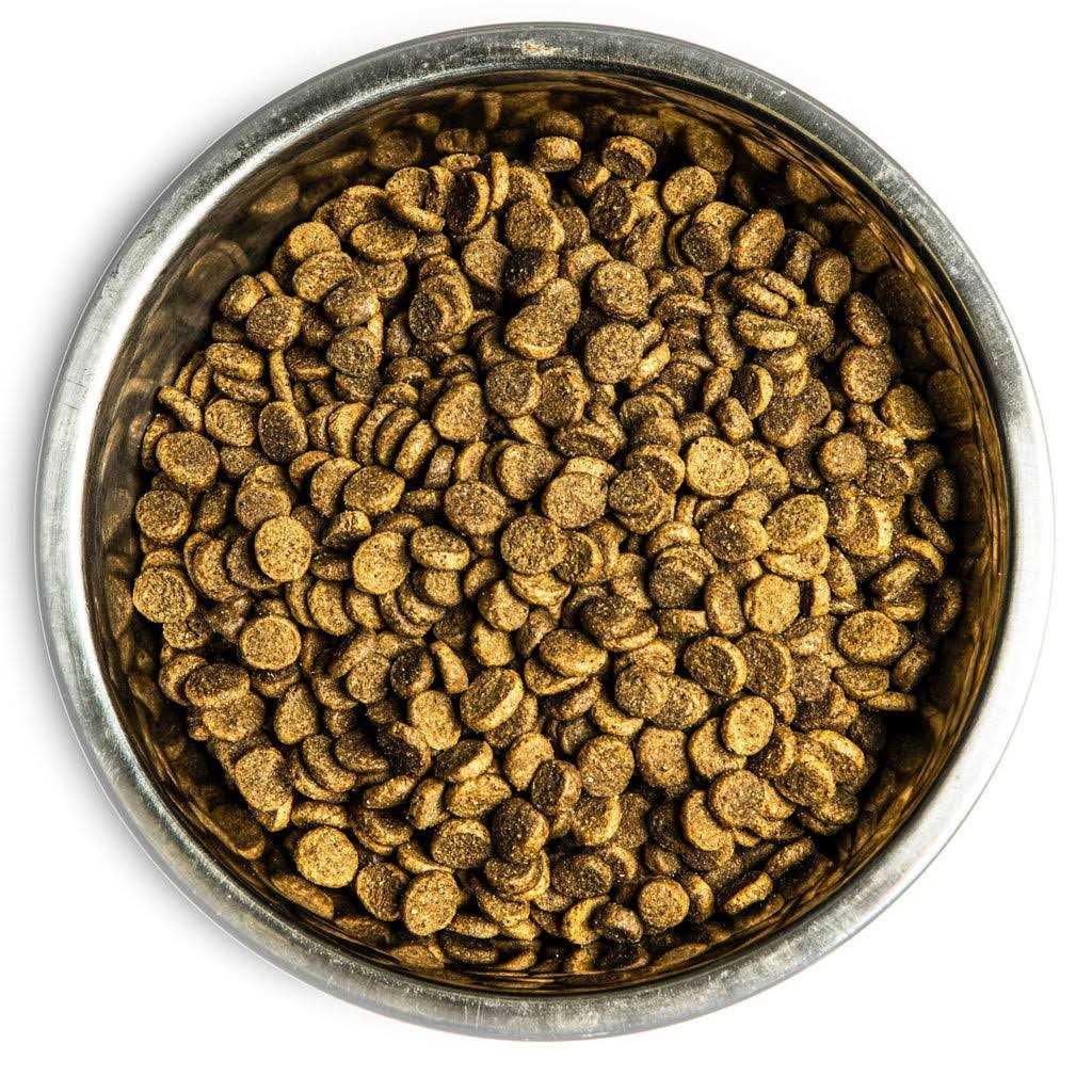 Dry Dog Food U569861